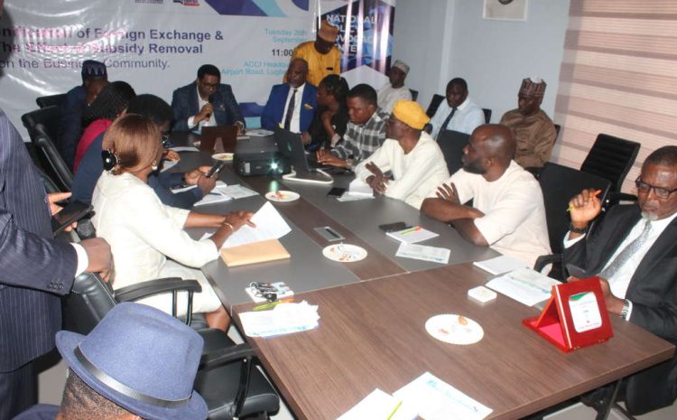 Roundtable on the, Unification of Foreign Exchange and the Effects of Fuel Subsidy Removal