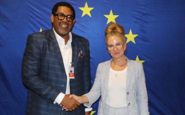 ACCI Strengthens Push for Energy Efficiency Among SMEs Through EU Collaboration